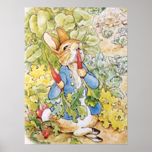 Peter the Rabbit Eating a Carrot    Poster