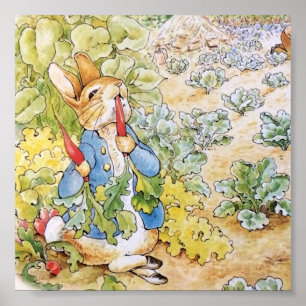 Peter the Rabbit Eating a Carrot   Poster