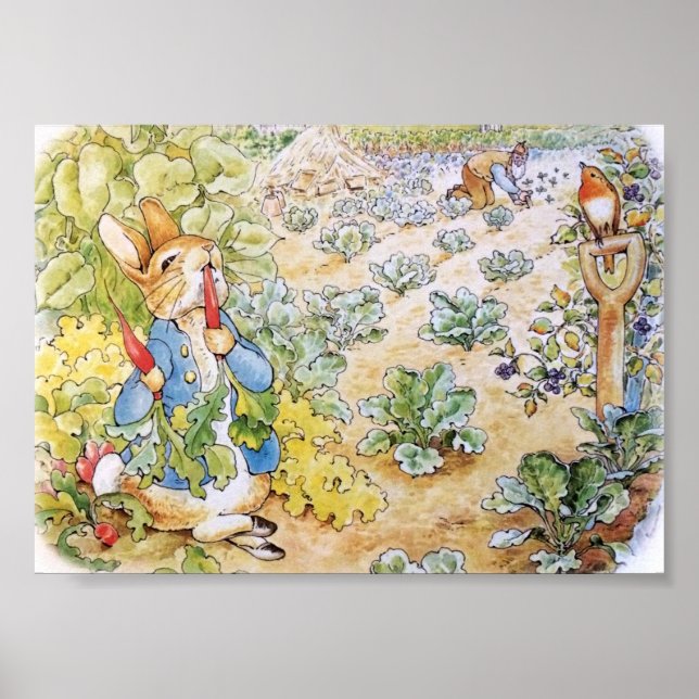 Peter the Rabbit Eating Carrots    Poster (Front)