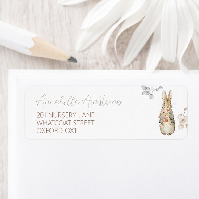 Peter the Rabbit Fall Autumn Winter Baby Shower (Insitu)