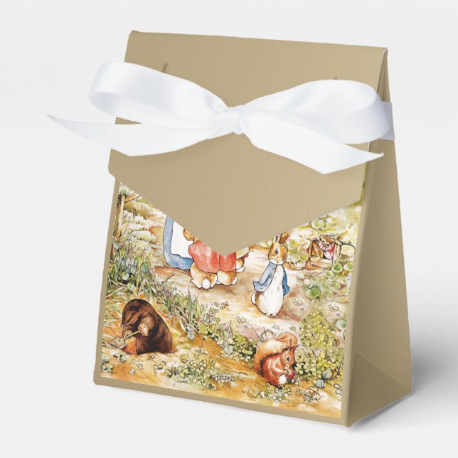 Peter the Rabbit  Favour Box (Front Side)