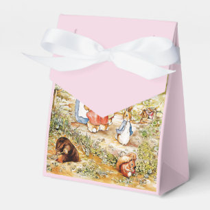 Peter the Rabbit Favour Box