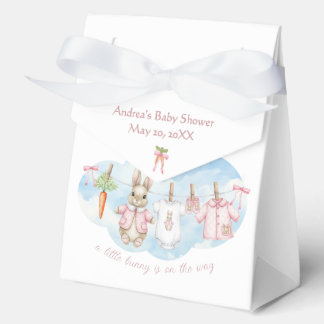Peter the Rabbit Girl Clothesline Baby Shower   Favour Box