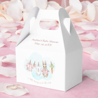 Peter the Rabbit Girl Clothesline Baby Shower   Favour Box