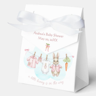 Peter the Rabbit Girl Clothesline Baby Shower   Favour Box