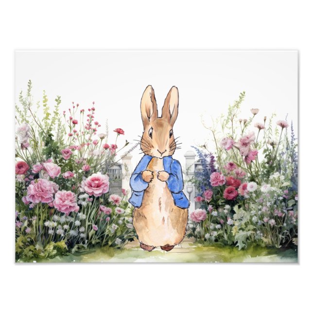 Peter the Rabbit in his garden No 2 Photo Print (Front)