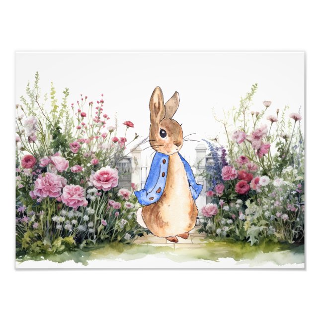 Peter the Rabbit in his garden Photo Print (Front)