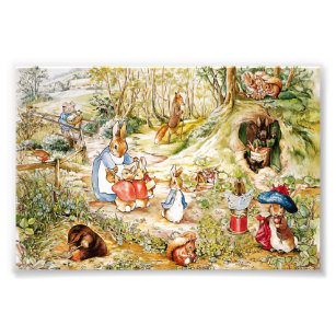 Peter the Rabbit in the Woods Photo Print