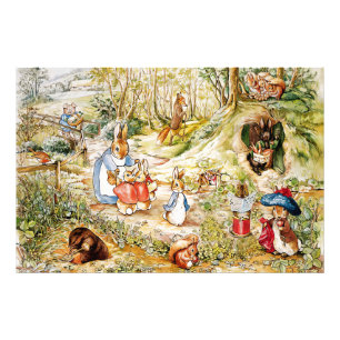 Peter the Rabbit  Photo Print