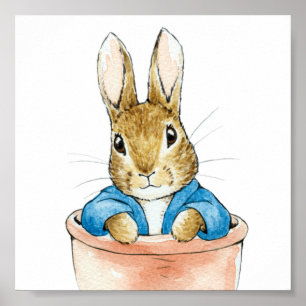 Peter the Rabbit Sitting in a Plant Pot  Poster