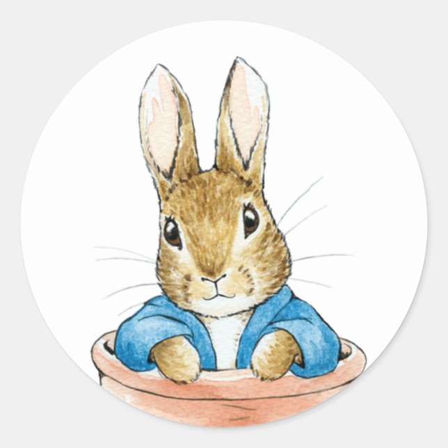 Peter the Rabbit Sitting in a Pot   Classic Round Sticker (Front)