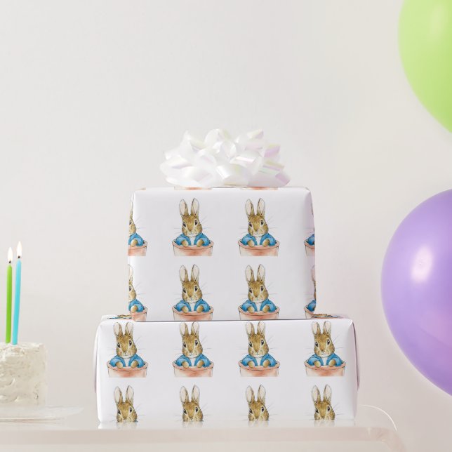 Peter the Rabbit Sitting in a Pot Paper Plate (Party Gifts)