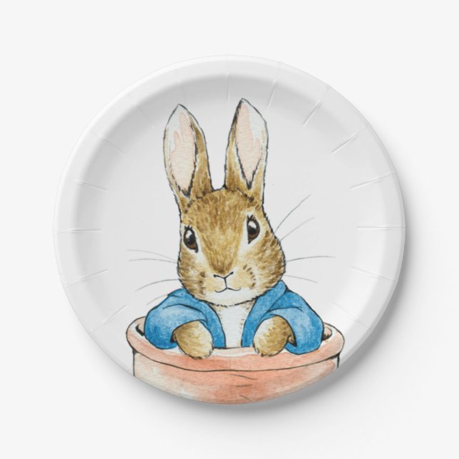 Peter the Rabbit Sitting in a Pot    Paper Plate (Front)