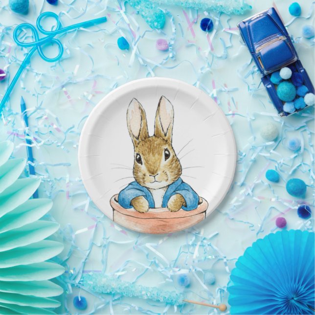 Peter the Rabbit Sitting in a Pot Paper Plate (Party)