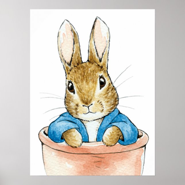 Peter the Rabbit Sitting in Plant Pot      Poster (Front)