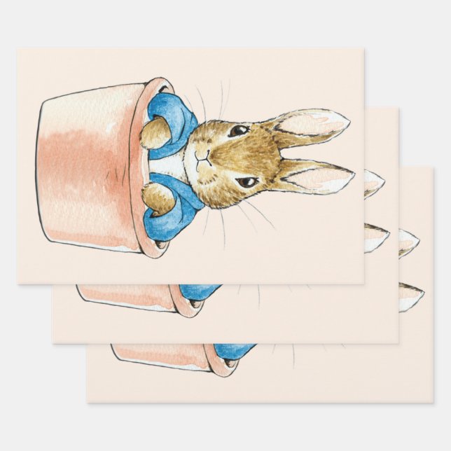 Peter the Rabbit Sitting in Plant Pot Wrapping Paper Sheet (Set)