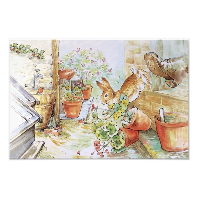 Peter the rabbit tumbling in garden shed 	 photo print (Front)