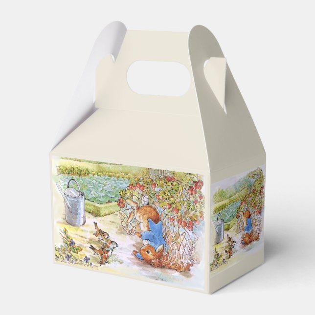 Peter the Rabbit Tumbling in Vegie Patch Favour Box (Back Side)