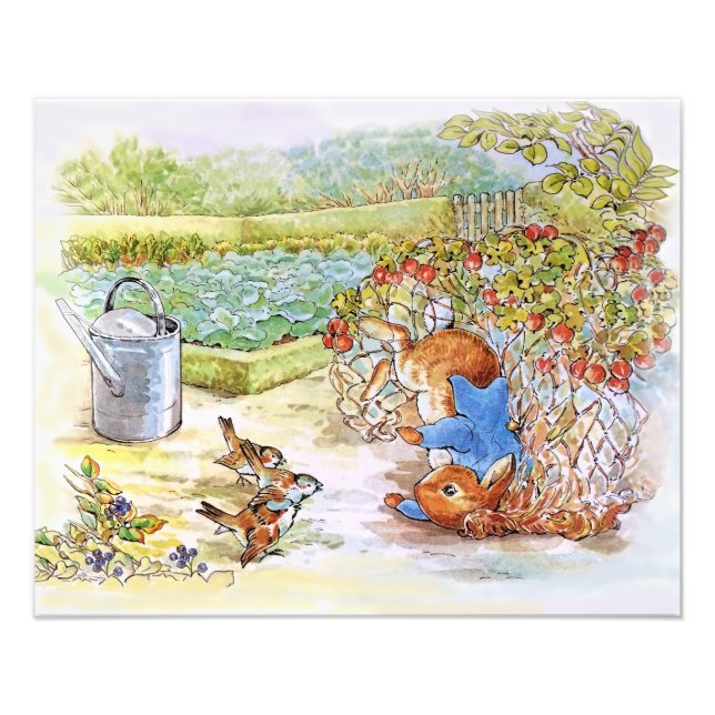 Peter the Rabbit Tumbling in Vegie Patch Photo Print (Front)