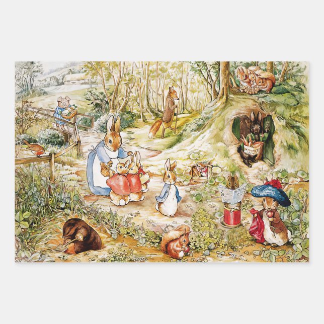 Peter the Rabbit  Wrapping Paper Sheet (Front)