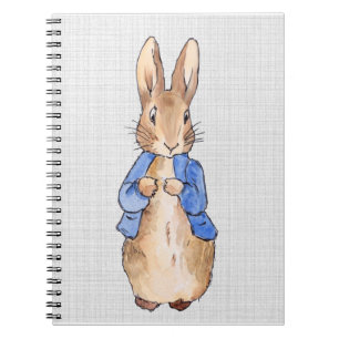 Peter with a Grey Linen background  Notebook