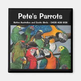 Pete's Parrots - Exotic and Native Magnet