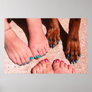 Peticure - Pedicure Spa Day Poster