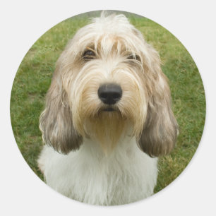 Petit Basette Griffon Vendeen Classic Round Sticker