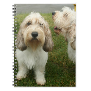 Petit Basette Griffon Vendeen Notebook