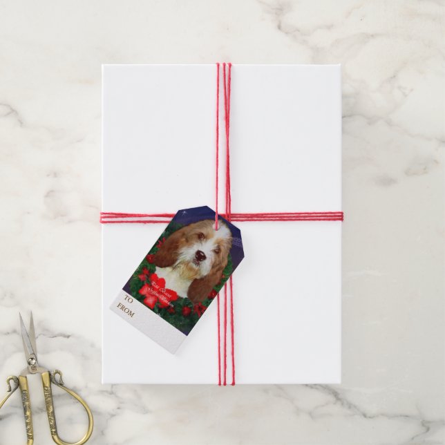 Petit Basset Christmas Gift Tags (With Twine)