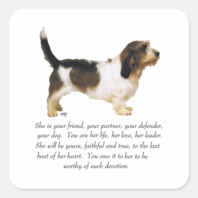 Petit Basset Griffon Vendeen Female Square Sticker (Front)