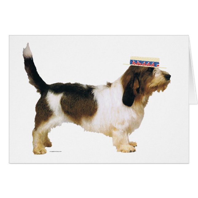 Petit Basset Griffon Vendeen Patriot (Front Horizontal)