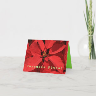 Petit Cadeau Joyeuses Fêtes French Happy Holidays Holiday Card