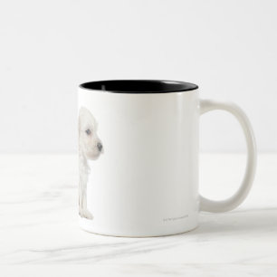 Petit chien lion or Little Lion Dog puppy Two-Tone Coffee Mug