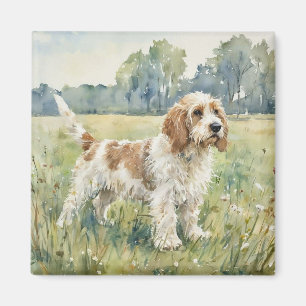 Petite Basset Griffon Vandeen - PBGV Magnet