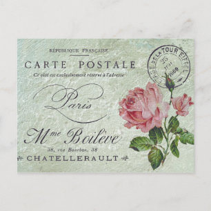 Petite Rose Confection Postcard