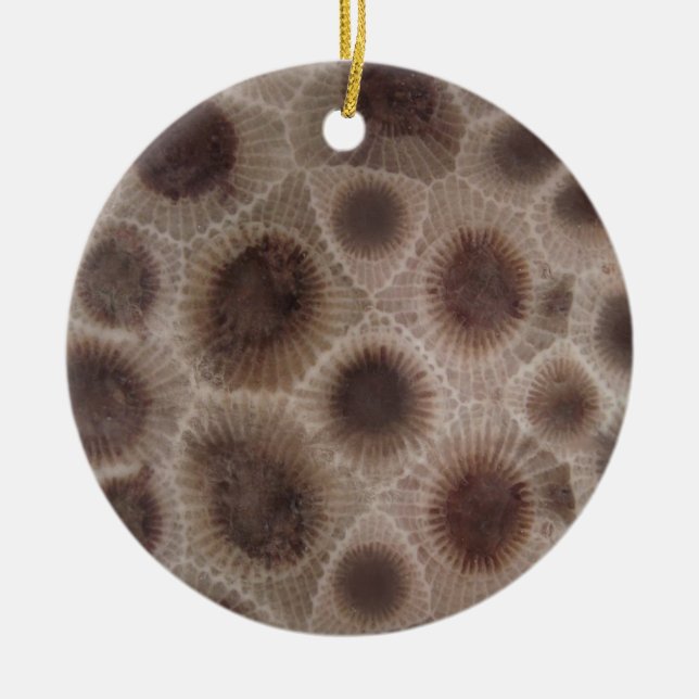 Petoskey Stone Ceramic Tree Decoration (Front)