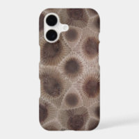 Petoskey Stone michigan state stone