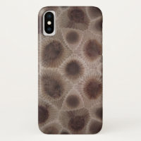 Petoskey Stone michigan state stone