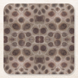 Petoskey Stone michigan state stone fossil Square Paper Coaster
