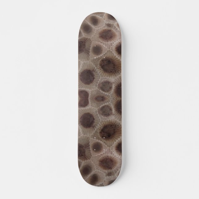 Petoskey Stone, Michigan state stone Skateboard (Front)