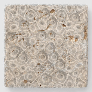 Petoskey Stone Pattern Coaster