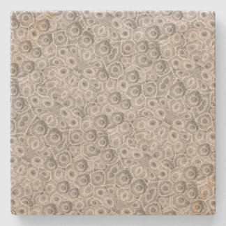 Petoskey Stone Pattern Coaster