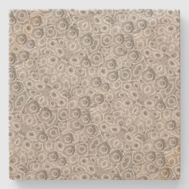 Petoskey Stone Pattern Coaster (Front)