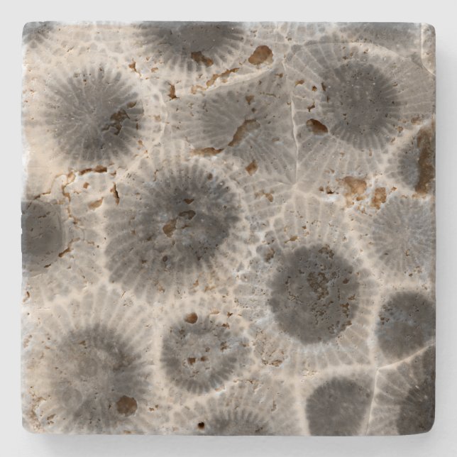 Petoskey Stone Pattern Stone Coaster (Front)