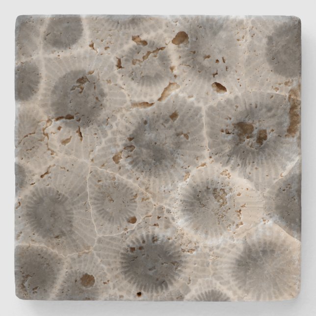 Petoskey Stone Pattern Stone Coaster (Front)