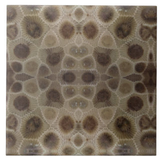 Petoskey Stone Tile