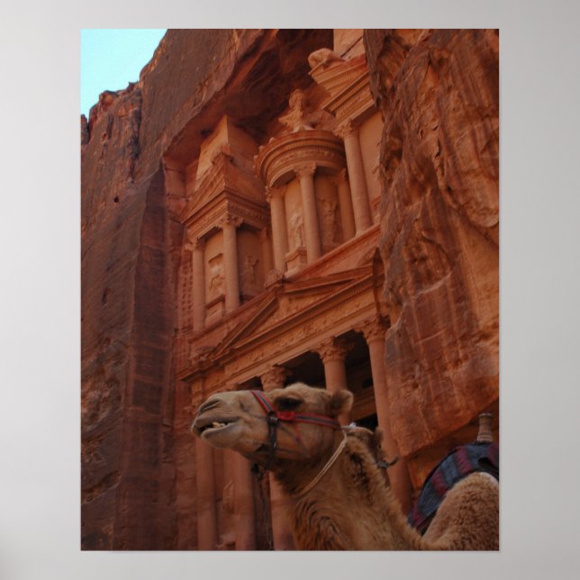 Petra Camel Print (Front)