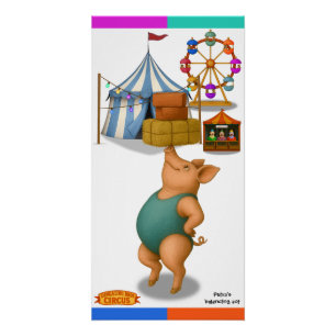 Petra's balancing act poster
