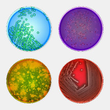 Petri Dish Coaster Set